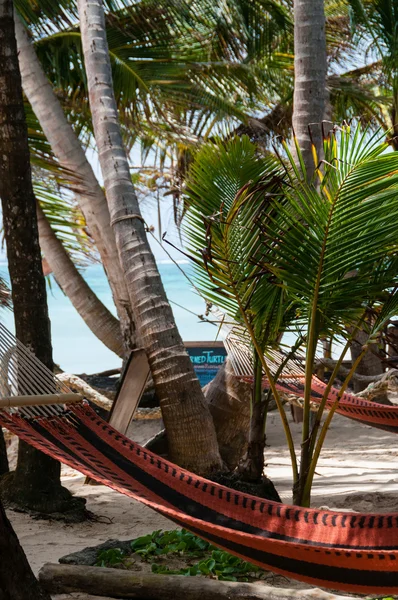 Zbliżenie hamak chillout relaks Tied do drzewa kokosowego na plaży na Corn Island Bar — Zdjęcie stockowe