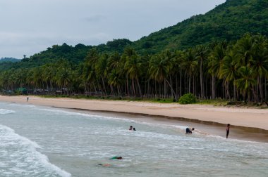 Oynama ve plajda palmiye ağaçlarının tam Yüzme çocuklar