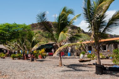 Sahil cape verde Adası'nda taş mesire palmiye ağaçlarının