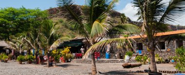 Sahil cape verde Adası'nda taş mesire palmiye ağaçlarının