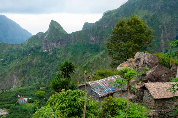 Simple casa rural de piedra con árbol en la cima de una montaña verde en la isla de Cabo Verde —  Fotos de Stock