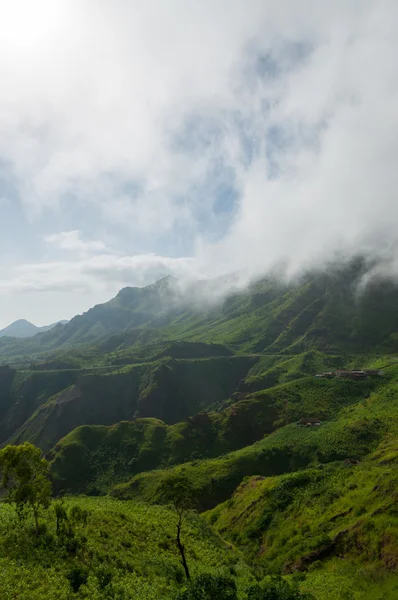 Niebla brumosa sobre verde valle de ladera de montaña —  Fotos de Stock