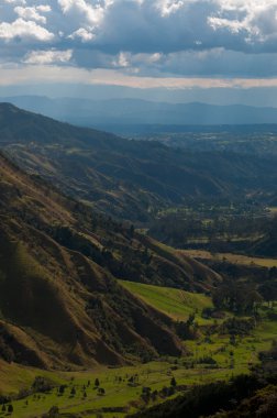 Valle de Cocora uzun palmiye ağaçlarında bulutlu gökyüzü altında ile yeşil vadi
