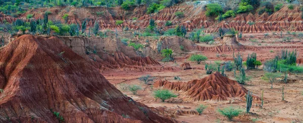 Gran colina de piedra de arena roja en seco desierto de tatacoa caliente con plantas, huila — Foto de Stock