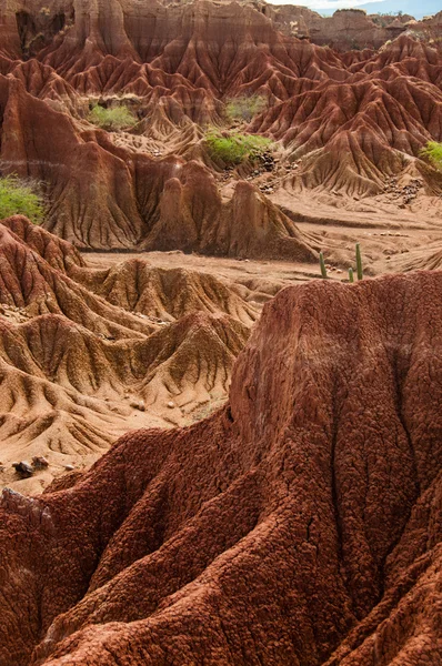 Grande falaise de grès rouge en face du désert de tatacoa chaud sec avec des plantes, huila — Photo