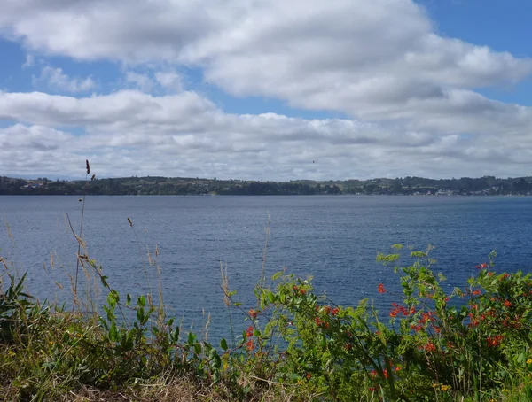 Puerto varas vith çiçek açan çiçekler gölde — Stok fotoğraf