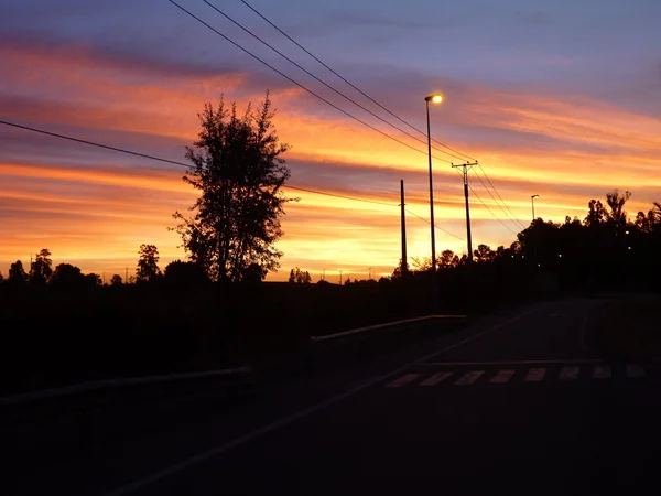 Panorama do pôr do sol com fios de eletricidade na natureza — Fotografia de Stock