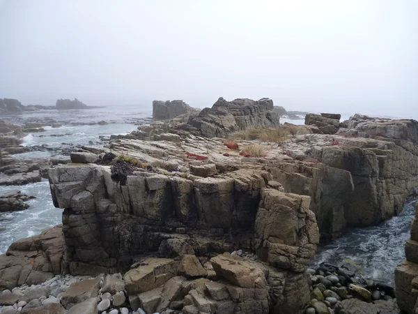 Туманное утро на каменистом берегу Тихого океана — стоковое фото