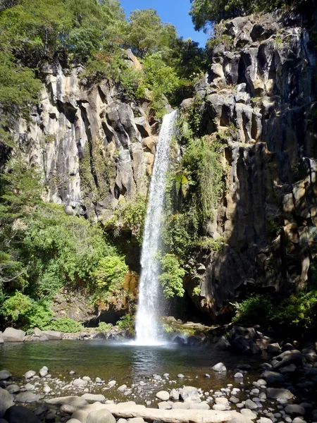 Kleiner Wasserfall, der aus einem Basaltgestein in einem tiefen Wald fließt — Stockfoto