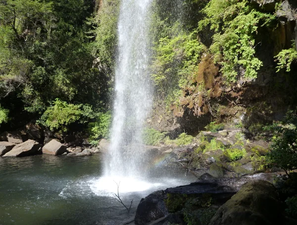 Kleiner Wasserfall, der aus einem Basaltgestein in einem tiefen Wald fließt — Stockfoto