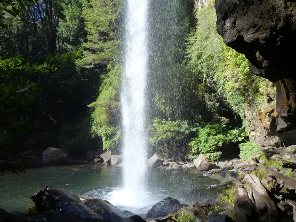 Kleiner Wasserfall, der aus einem Basaltgestein in einem tiefen Wald fließt — Stockfoto