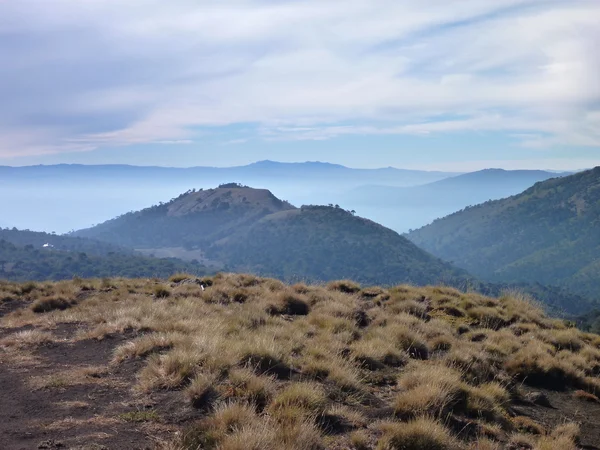 Estrada de terra empoeirada no parque las araucarias na patagônia — Fotografia de Stock