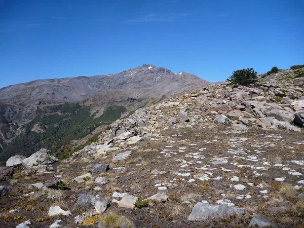 Wspinaczka na szczyt sierrra Nevada w Las araucarias — Zdjęcie stockowe