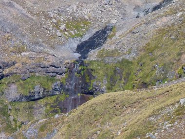çim ile kaplı bir kaya küçük şelale