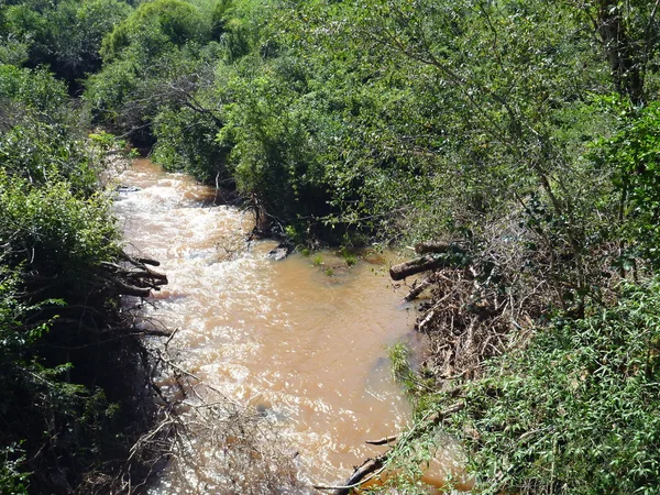 Small brown stream with brown water — Stock Photo, Image