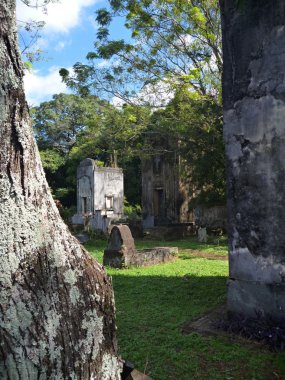 terk edilmiş mezarlıkta eski Cizvit görevler Arjantin kalıntıları