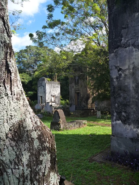 terk edilmiş mezarlıkta eski Cizvit görevler Arjantin kalıntıları