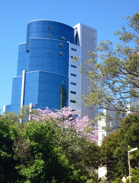 Висока сучасна будівля, вид з парку — стокове фото
