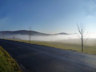 bir alandaki boş bir yolda puslu sabah