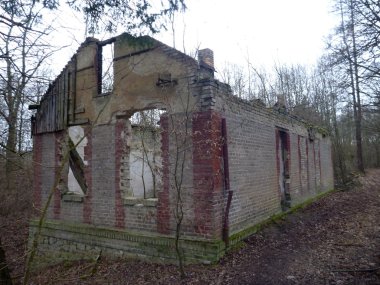bir ormandaki terk edilmiş yıkık ev