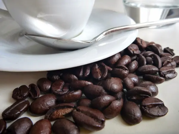 Kahve çekirdekleri ile taze lezzetli kahve — Stok fotoğraf