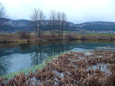 gölet zekâ ağaçların altında Hohe değnek cliff Avusturya yansıyan