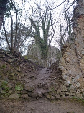 yobaz terk edilmiş bir kale bitki örtüsü ile kaplı