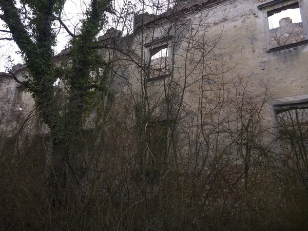 Vecchio rudere abbandonato di un castello coperto di vegetazione — Foto Stock