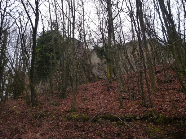 오래 된 버려진된 파 멸 성곽의 식물으로 덮여 — 스톡 사진