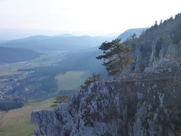 Limestone klif van hohe wand in Oostenrijk — Stockfoto