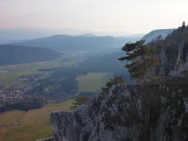 Limestone klif van hohe wand in Oostenrijk — Stockfoto