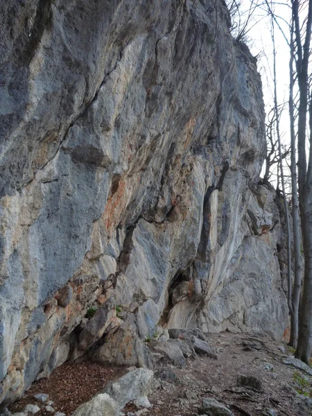 Approach trail to rock climbing cliff in kotecnik slovenia — Stock Photo, Image