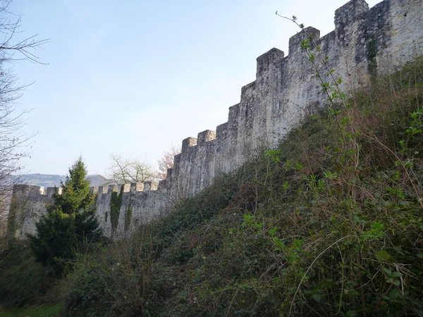 Fortificazione del castello medievale di Celje — Foto Stock