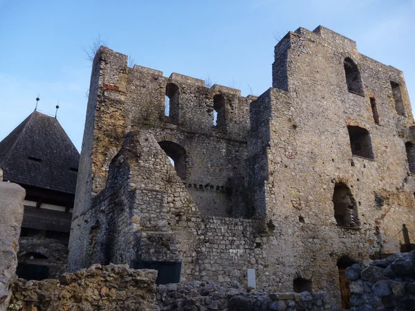 中世纪城堡斯塔里格拉德在塞列在斯洛文尼亚 — 图库照片