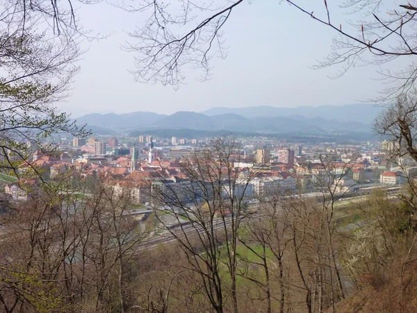 Panorana av en staden Celje i Slovenien — Stockfoto