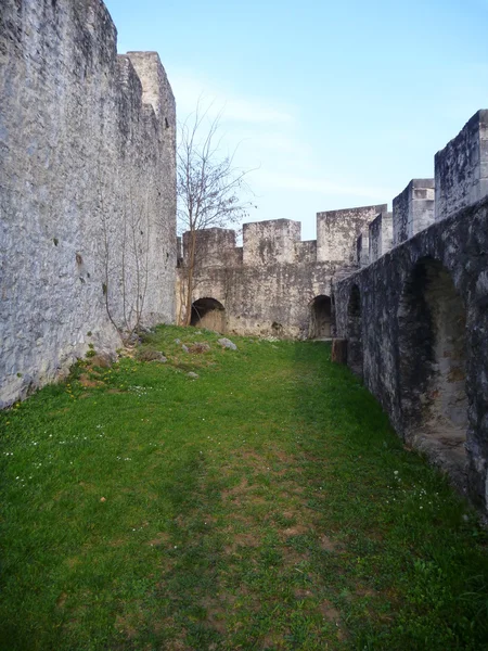 Castello medievale Stari Grad a Celje in Slovenia — Foto Stock
