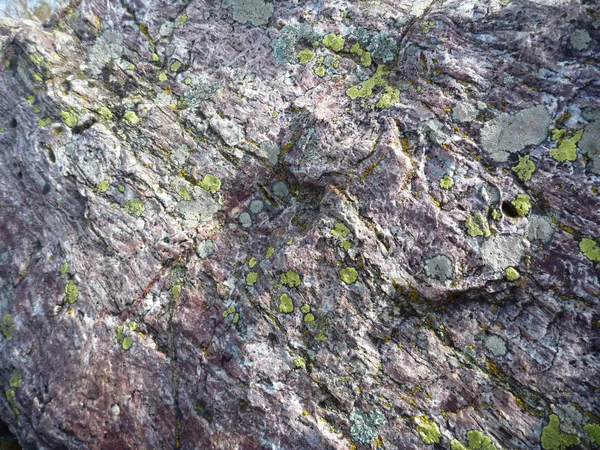 Rock texture detauil with a moss — Stock Photo, Image
