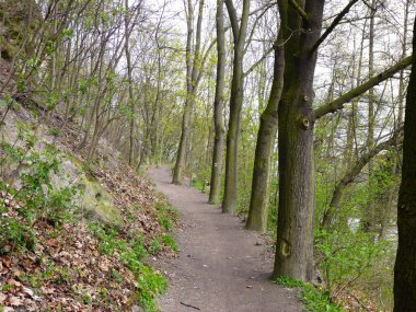 Hiking trail boyunca nehir ve kumtaşı kaya oluşumu