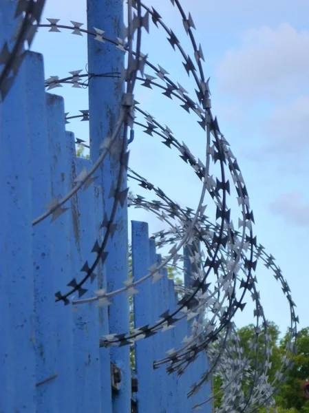 Голубой забор с колючей белой спиралью — стоковое фото