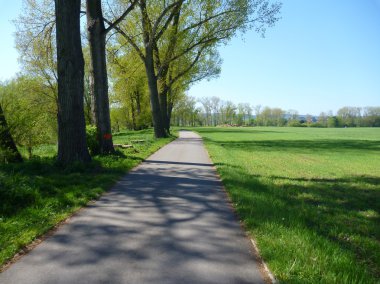 Tarlada boş asfalt yolu