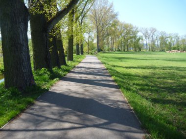 Tarlada boş asfalt yolu