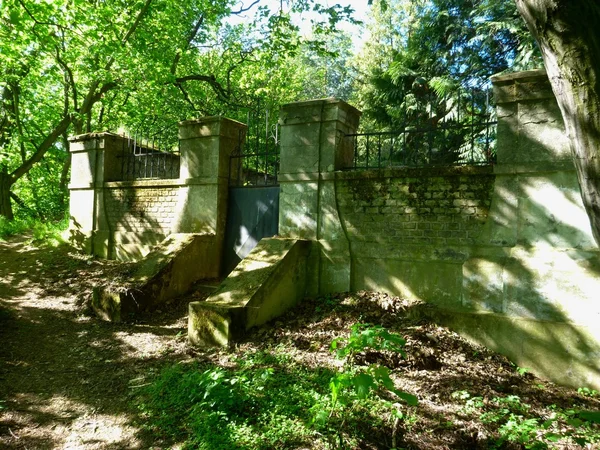 Viejo muro en ruinas en un bosque verde — Foto de Stock