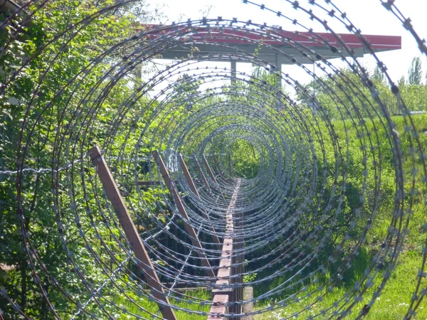 Espiral de arame farpado enferrujado afiado — Fotografia de Stock