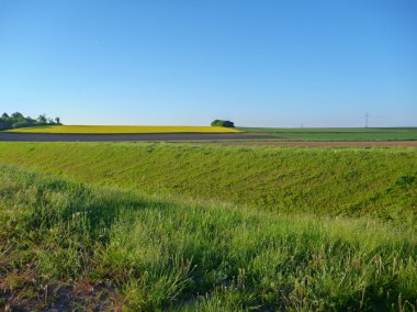Yeşil alanlar ile ekili manzara