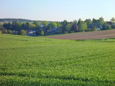 Yeşil alanlar ile ekili manzara