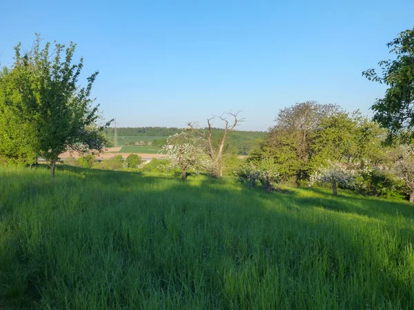 Paysage rural avec champs et village en arrière-plan — Photo