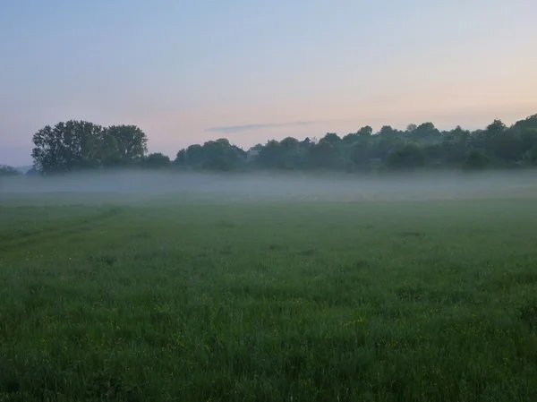 Misty πρωί σε ένα χόρτο walley — Φωτογραφία Αρχείου