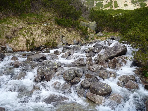 Montanhas Tatry na Eslováquia na primavera — Fotografia de Stock