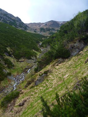Tatry dağlara bahar Slovakya'da