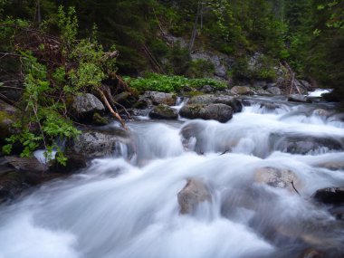 kayaların üzerinden akan güzel temiz dağ dere